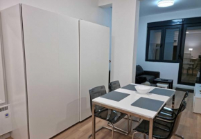TwinArt 2 adjacent recent apartments hosting up to 8 guests for work and living